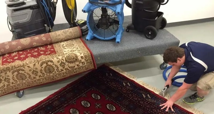 Getting a Rug Cleaning Expert